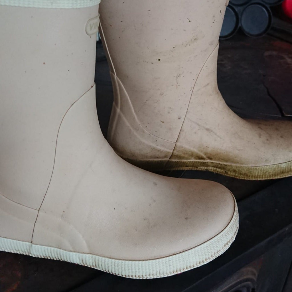 "Todella paljon käytetyt saappaat jatkoivat elämää. ( toinen käsitelty laventelisaippualla, greippi jo loppui). Jätin vaahdon pintaan vaikuttamaan tv-ohjelman ajaksi ja hankailin päälle. Olisi pitänyt tehdä tämä jo vuosia sitten."