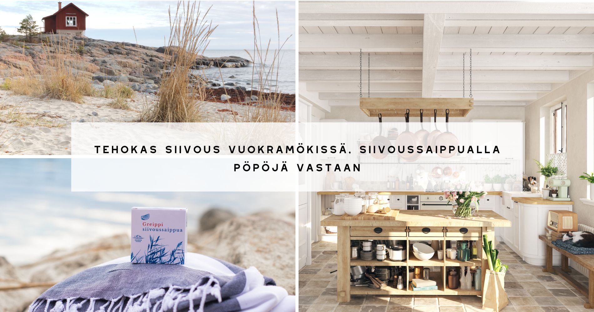 Tehokas siivous vuokramökissä, siivoussaippualla bakteereja vastaan