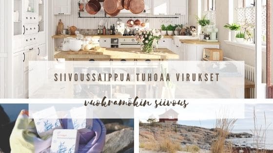 siivoussaippua tuhoaa virukset vuokramökin siivous
