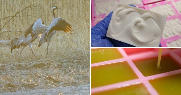 saaren taika tarinaa ja valmistusta