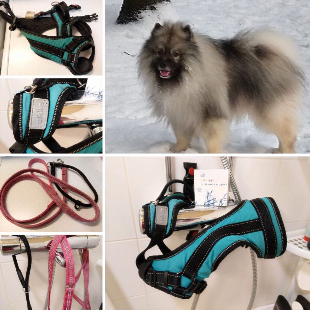 Saaren Taika Greippi siivoussaippualla koiran valjaat puhtaaksi