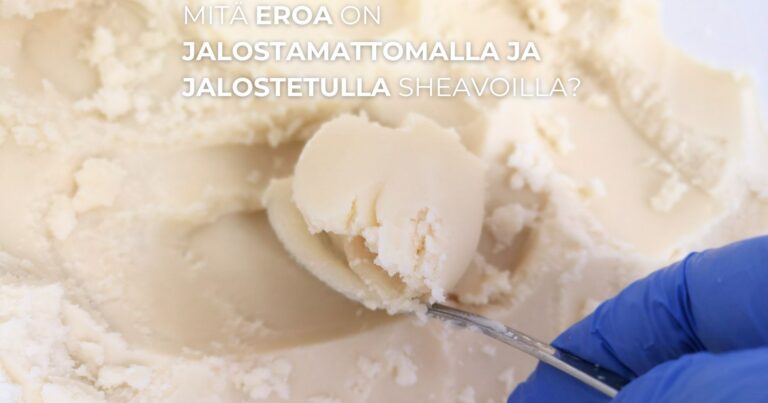 Raaka-aineemme sheavoi, mitä eroa on jalostamattomalla ja jalostetulla sheavoilla