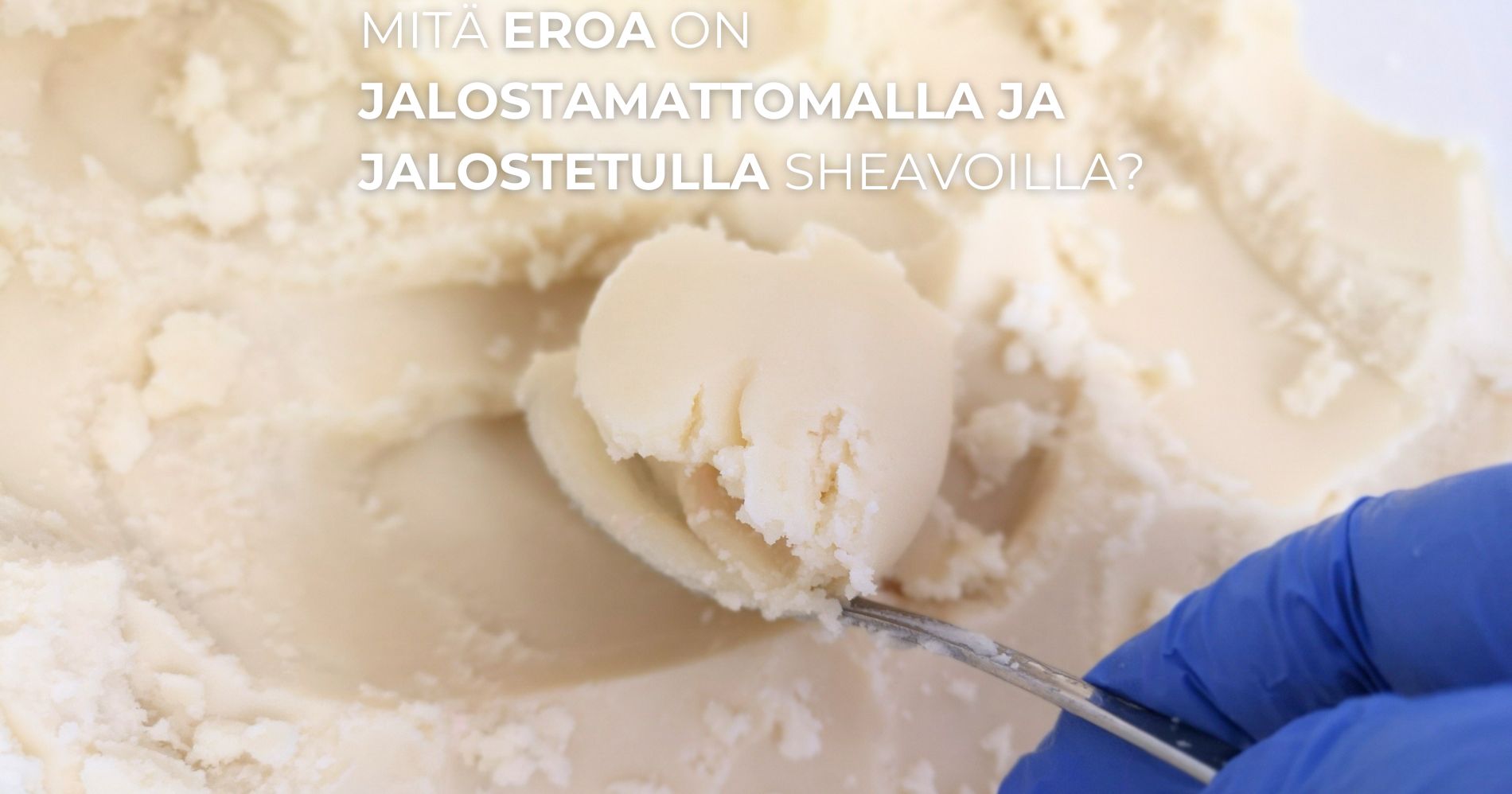 Raaka-aineemme sheavoi, mitä eroa on jalostamattomalla ja jalostetulla sheavoilla