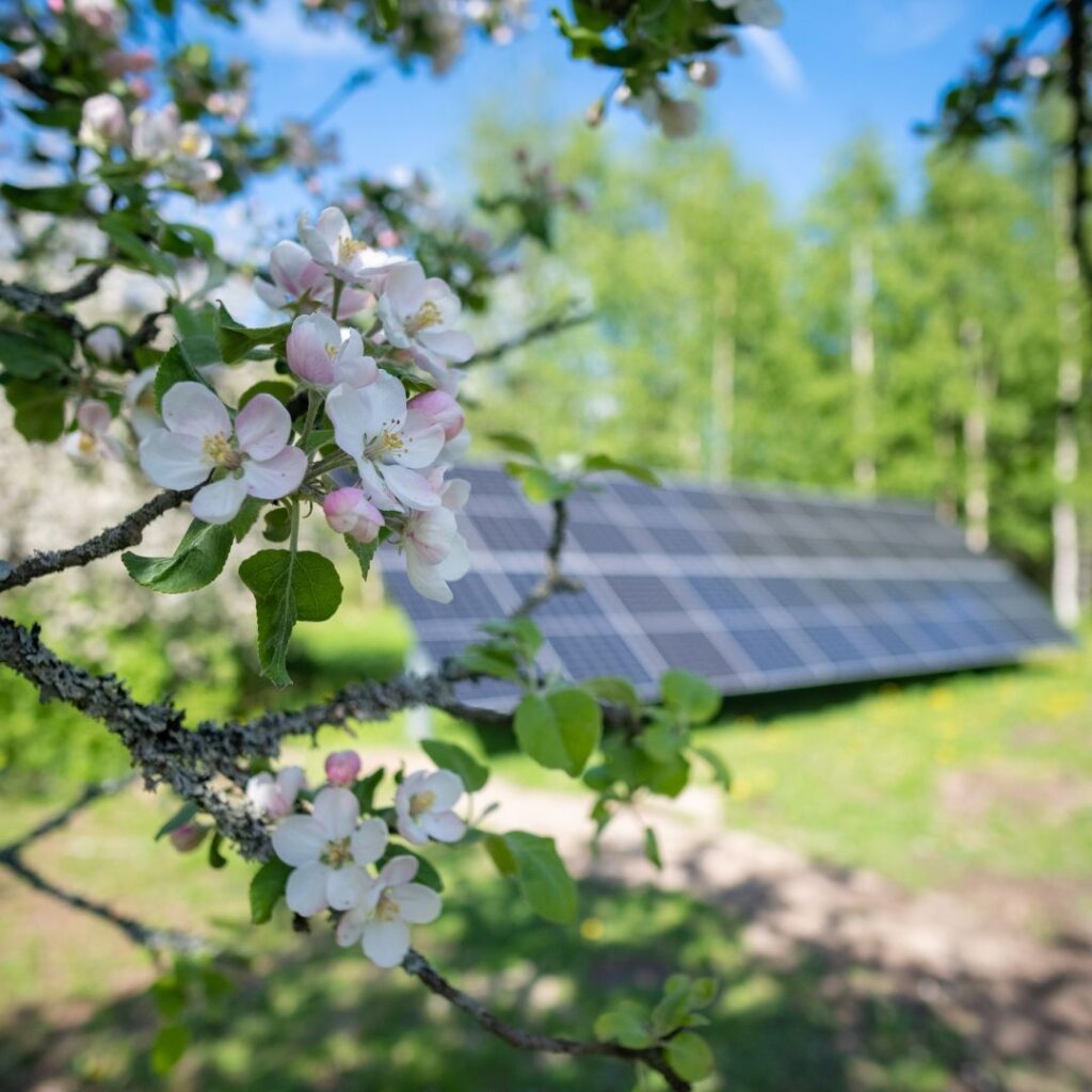 Saaren Taian aurinkovoimala tuottaa vihreää sähköä 8 kuukautta vuodessa