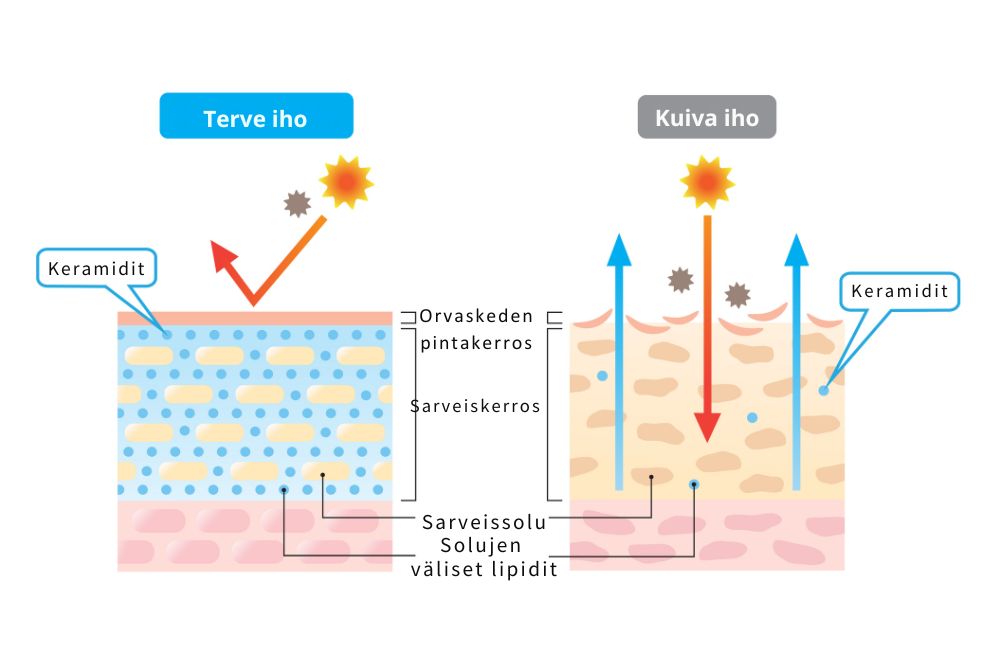 Mitä keramidit tekevät iholla