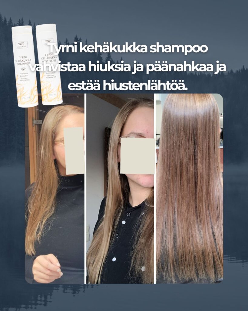 Kuvapalaute: Moikka! Haluan laittaa ihan kunnon palautteen teille, kun olen niin tyytyväinen. Joulukuussa vaihdoin kampaamosta ostetun "luksus"-shampoon ja hoitsikan teidän Tyrni Kehäkukka shampooseen ja hoitoaineeseen, koska hiuksia tippui tupottain jokaisella suihkukerralla eli joka päivä. Nyt 2kk käytön jälkeen voin ilokseni sanoa, että teidän tuote vastaa todellakin sitä, mitä lupaatte. Vahvistaa hiuksia ja päänahkaa ja estää hiustenlähtöä. Tuoksuu myös ihanalta ja on riittoisa. Kollaasin 1. Kuva on lokakuulta, hiukset pesty aamulla mukamas tuuheuttavilla aineilla. Näyttää lättänältä ja rasvaisilta. Ja olivat vielä extra-sähköiset. 2. Kuva on tammikuun lopulta. Pesty edellisenä aamuna tyrni-kehäkukkatuotteilla ja edelleen näyttää puhtailta ja tuuheilta. 3. kuva on kampaajalta, jossa kävin leikkaamassa latvoja hiusten ottaessa kunnon kasvuspurtin. Tässä näkyy mielestäni selkeästi hiuksen korjaantuminen, kiilto ja upea oma värini, mikä on päässyt oikeuksiin tuotteidenne myötä, vaikkei minulla vertailukuvaa olekaan. Käytän myös kerran viikossa teidän Tyrniuute hiusöljyä, mikä on lisännyt päänahan hyvinvointia ja auttanut hiusten kasvussa.