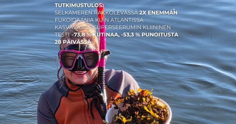Tutkimustulos Selkämeren rakkolevä on yksi ravintorikkaimmista ihonhoidon luonnonraaka-aineista
