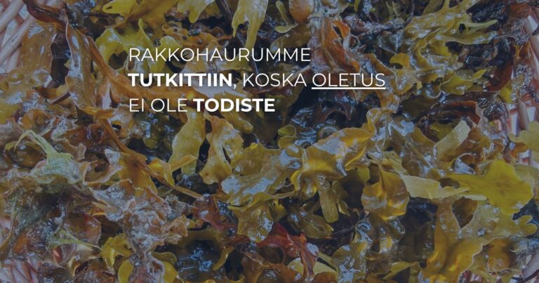 Rakkohaurumme tutkittiin, koska oletus ei ole todiste