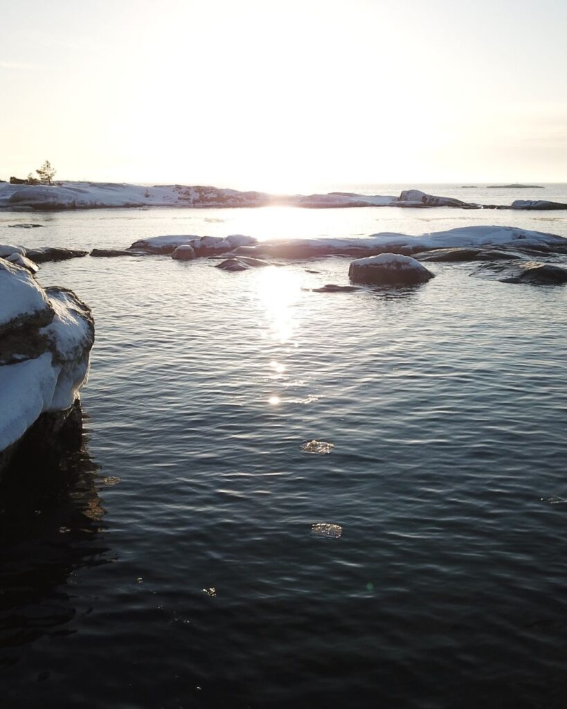 Selkämeren kivikkoiset rannat joiden läheisyydessä rakkohaurumme kasvaa.